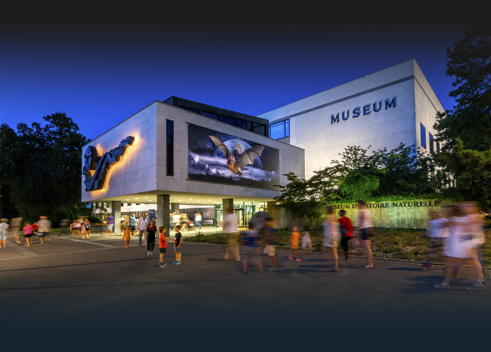 Natural history Museum Geneva, Switzerland, at night