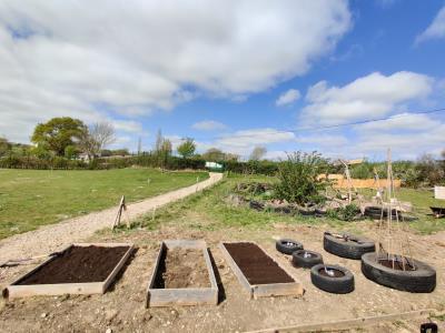 veg-patch