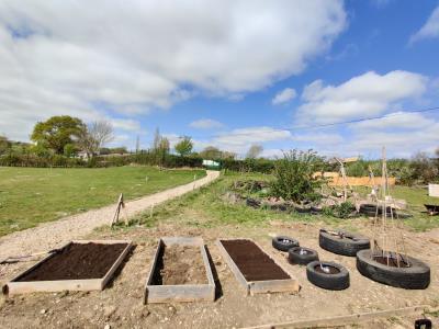 veg-patch