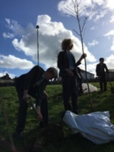 Tree Planting Day 25