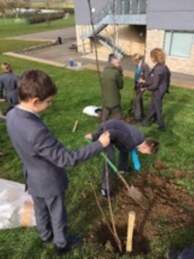 Tree Planting Day 27