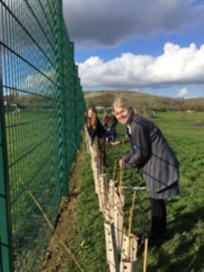 Tree Planting Day 28