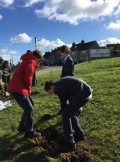 Tree Planting Day 7